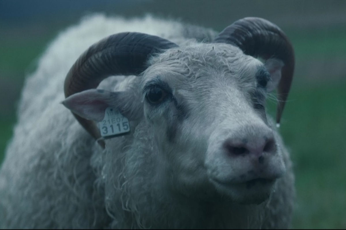 Lamb (2021): un híbrido en la casa de María
