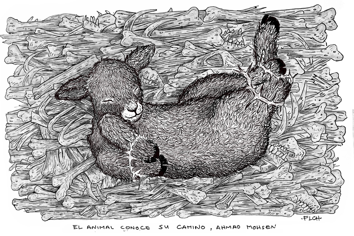 El animal conoce su camino