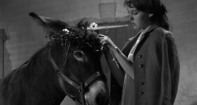 Las películas suelen hablar por los animales. Al azar de Baltasar (1966) habla acerca de ellos.